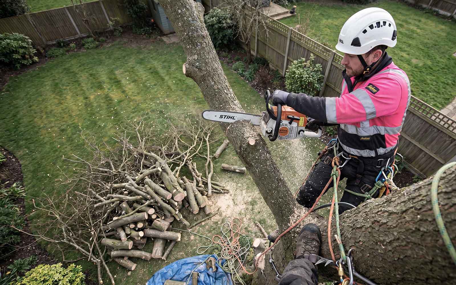 JL Tree Surgery Work