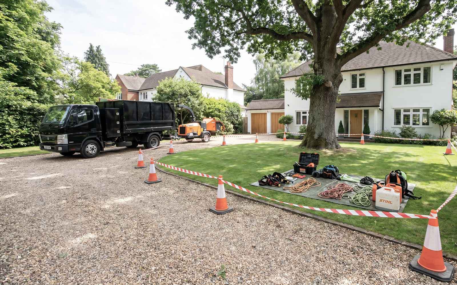 JL Tree Surgery Work